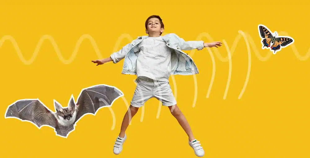 Echolocation. A kid jumps in the air. Yellow background. A bat and butterfly fly around him with echolocation waves in white