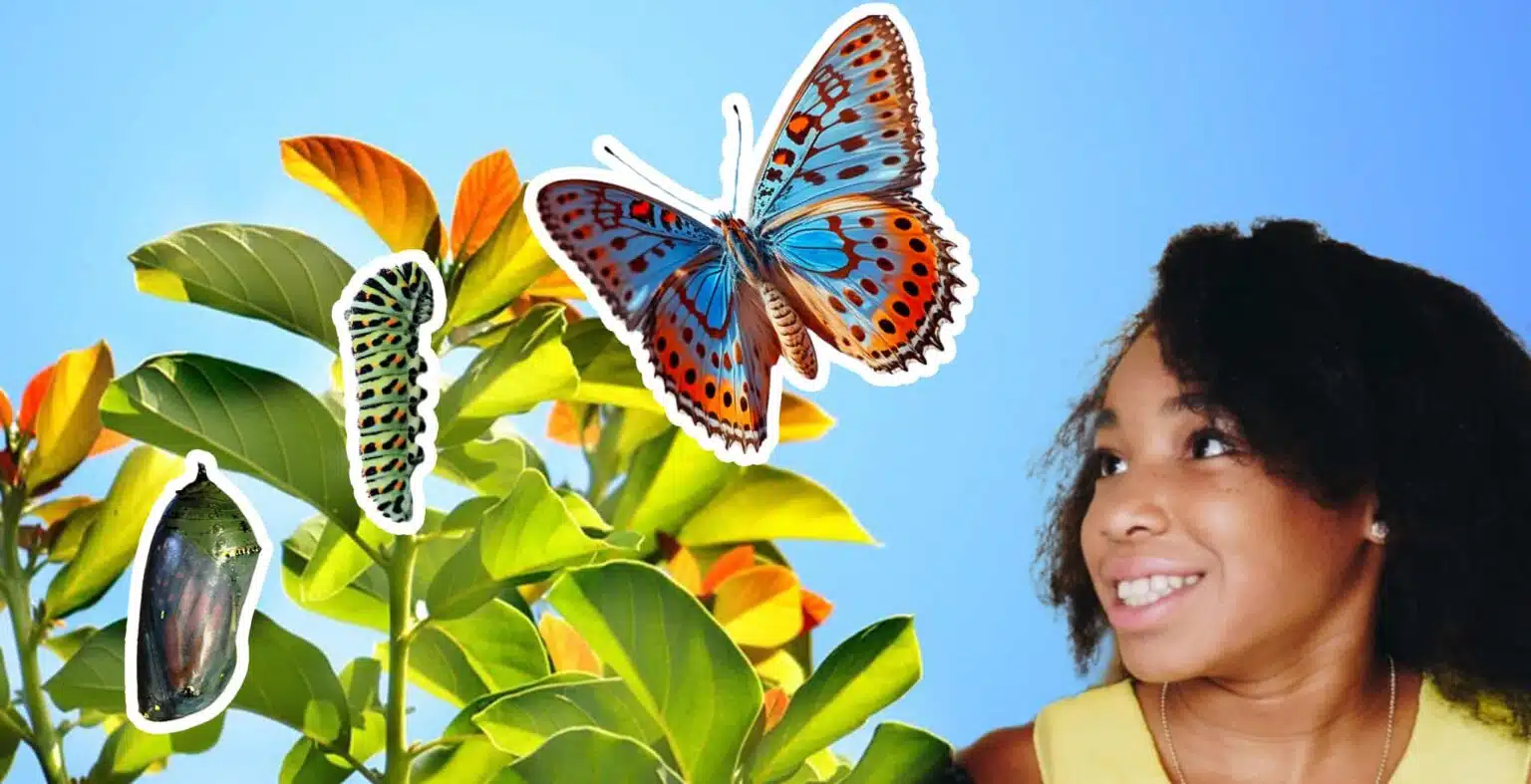 Little girl with yellow top looks at life cycle or evolution of a butterfly on a green plant.